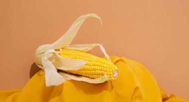Sıfır atık stil minimalist sahne. Kağıt üzerinde organik mısır ve tekstil dekoru. Çevre dostu ve konsepti yeniden kullan. Hareketsiz moda afişi