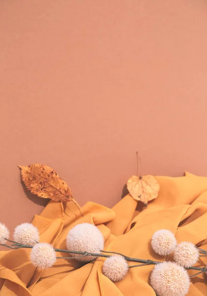 秋天冬季简约的背景秋天早午餐装饰和面料 时髦的棕色黄色米色阴影 静物美学墙纸 — 图库照片