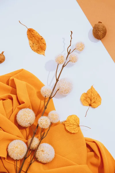 Sonbahar Kış Arka Planı Sonbahar Brunch Dekoru Yaprak Kumaş Modaya — Stok fotoğraf