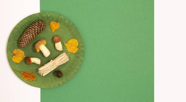 Sonbahar minimalist sahnesi. Sonbahar dekoru mantarları ve yeşil tabakta yaprak ve kağıt geometri arka planı. Mevsimsel konsept. Gösterişli düz pankart