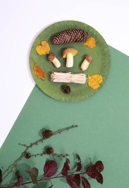 Sonbahar minimalist sahnesi. Kış dekoru mantarları ve yeşil tabakta branç yaprağı ve kağıt arka plan. Mevsimsel konsept. Kaliteli düz duvar kağıdı