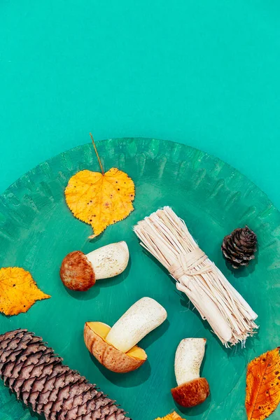 Sonbahar minimalist sahnesi. Sonbahar dekoru mantarları ve yeşil tabakta yaprak ve kağıt arka plan. Mevsimsel konsept. Kaliteli düz duvar kağıdı