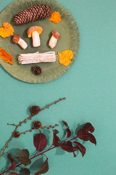 Sonbahar minimalist sahnesi. Kış dekoru mantarları ve yeşil tabakta branç yaprağı ve kağıt arka plan. Mevsimsel konsept. Kaliteli düz duvar kağıdı