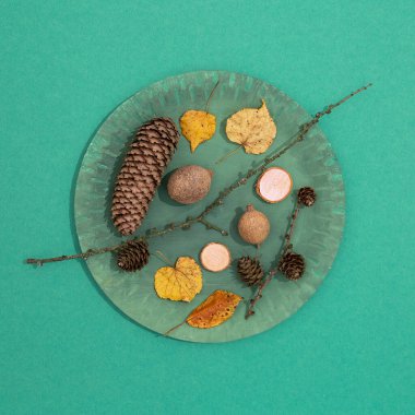 Sonbahar minimalist sahnesi. Sonbahar dekoru, yeşil tabakta mısır ve yaprak ve kağıt arka plan. Mevsimsel konsept. Kaliteli düz yatak