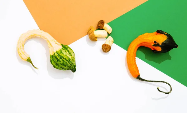 Scena Fresca Minimalista Fungo Zucca Decorazione Sfondo Carta Beige Verde — Foto Stock