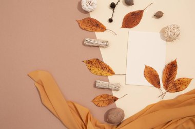 Sonbahar minimalist arka plan sonbahar yaprağı dekoru ve sarı ipek kumaş. Modaya uygun sarı bej renkler. Sezonluk stil afişi, maket