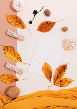 Sonbahar minimalist arka plan sonbahar yaprağı, balkabağı dekoru ve sarı ipek kumaş. Renkli kahverengi bej renkler karışımı. Mevsimlik stil duvar kâğıdı, maket