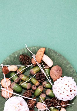 Sonbahar minimalist geçmişi. Sonbahar dekorasyon tabağı. Taze ekolojik renkler karışımı. Mevsimlik stil düz döşemeli duvar kağıdı maketi