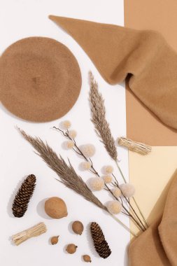 Moda Düzlüğü duvar kâğıdı taklidi yapıyordu. Ilık bere. En az sonbahar brunch dekoru. Şık sonbahar, kışlık kıyafet alışverişi, satış konsepti, bej kahverengi renk eğilimleri