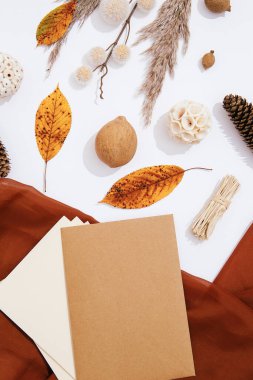 Sonbahar brunch dekoru ile kış sıcacık arka plan modeli yapın. Moda bej kahverengi renk tonları. Minimalist mevsimlik estetik duvar kağıdı