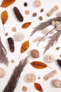 Sonbahar brunch dekoru ile kış sıcacık arka plan. Moda bej kahverengi renk tonları. Minimalist mevsimlik estetik duvar kağıdı