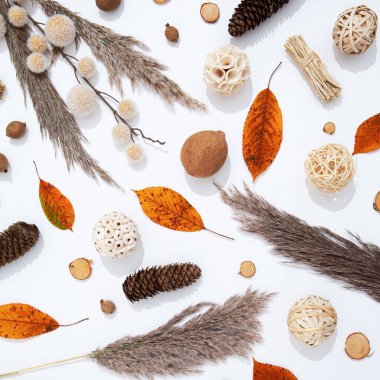 Sonbahar brunch dekoru ile kış sıcacık arka planda yatar. Moda bej kahverengi renk tonları. Minimalist mevsimlik estetik