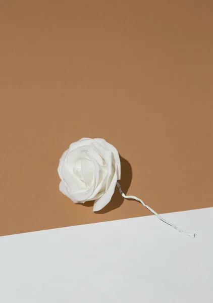 Havalı Bej Beyaz Minimalist Alanda Plastik Gül Dekoru Biçimli Duvar — Stok fotoğraf