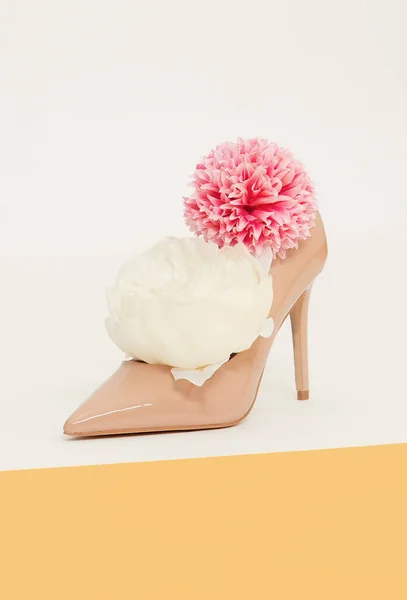 Beige Élégant Lady Chaussures Fleurs Décor Magasin Espace Créatif Scène — Photo