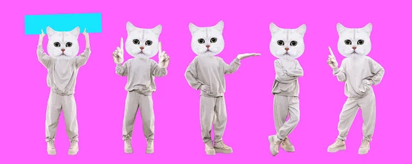 Stylish Collage Banner Funny Kitty Characters Emotions Gestures Set Ideal — Stock Photo, Image