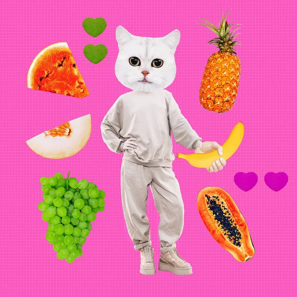 Stílusos Kitty Karakter Megy Vegán Gyümölcsimádó Fogalmi Minimális Kollázs Egészséges — Stock Fotó