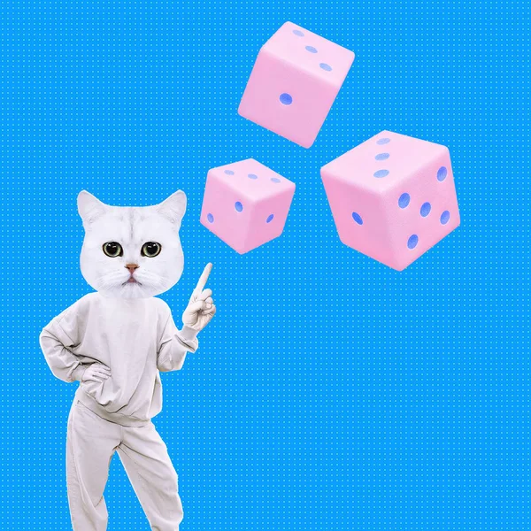 Stylová Minimální Kolážová Scéna Kočičí Charakter Kostky Rozhodnutí Riziko Koncepce — Stock fotografie