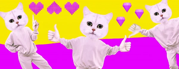 Stílusos Minimális Kollázs Banner Jelenet Vicces Macskák Karakter Szeret — Stock Fotó