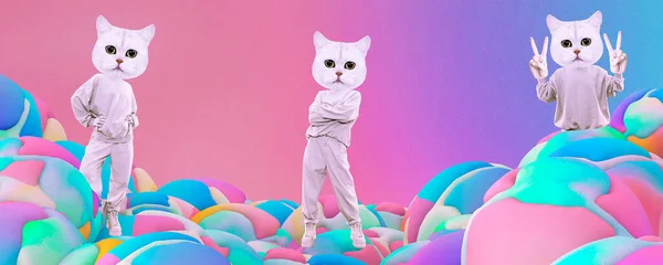 Stilvolles Collage Banner Funny Cats Charakterpositionen Und Emotionen Soziale Netzwerke — Stockfoto