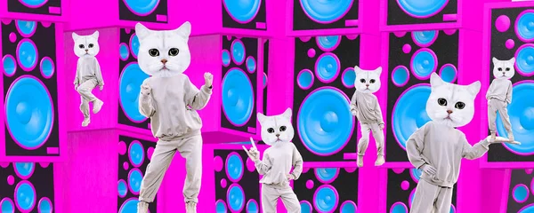 Stilvolles Collage Banner Funny Cats Tanzen Clubbing Partystimmung Ideal Für — Stockfoto