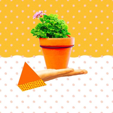 Çağdaş minimum sanat kolajı. Tencerede eller ve çiçekler. Tebrikler doğa sever, uluslararası kadınlar günü konsepti.