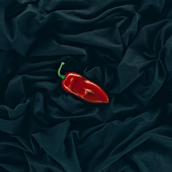 stock image Red pepper on a fashionable shiny black fabric background