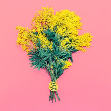Yellow Mimosa bouquet on pink background, the symbol of Internat clipart