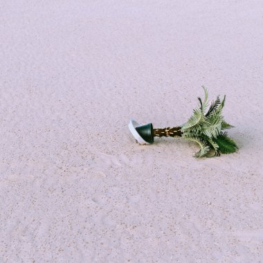 Palm Desert sahte. En az tarzı fotoğraf