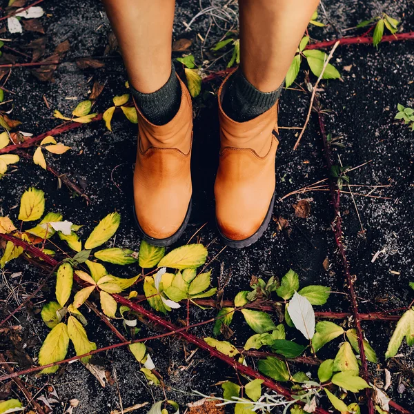Модная осень. Стильная женская обувь . — стоковое фото