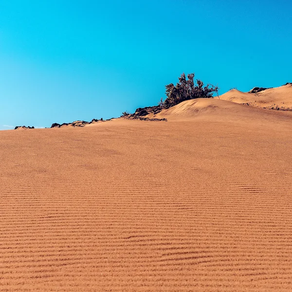 Woestijn achtergrond. minimalistische stijl — Stockfoto