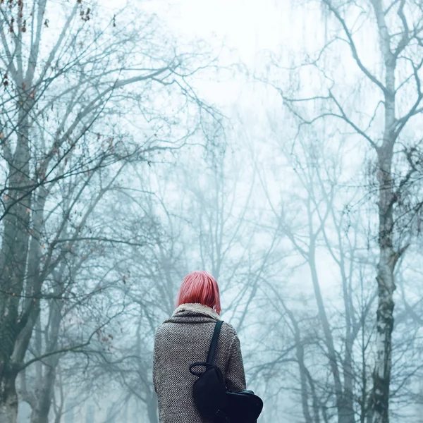 Menina solitária no parque nebuloso — Fotografia de Stock