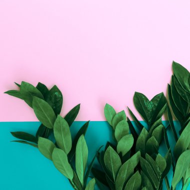 Astylish zemin üzerine yeşil bitkiler. Minimalist moda