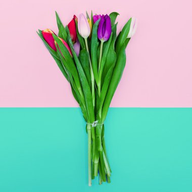 Lale parlak bir arka plan üzerinde. Minimalizm moda