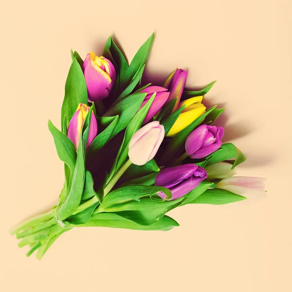 Bouquet de tulipa de primavera. Foto estilo minimalismo — Fotografia de Stock