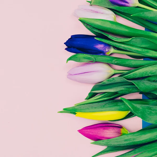 Krásné květiny. Tulipány. Minimální styl móda — Stock fotografie