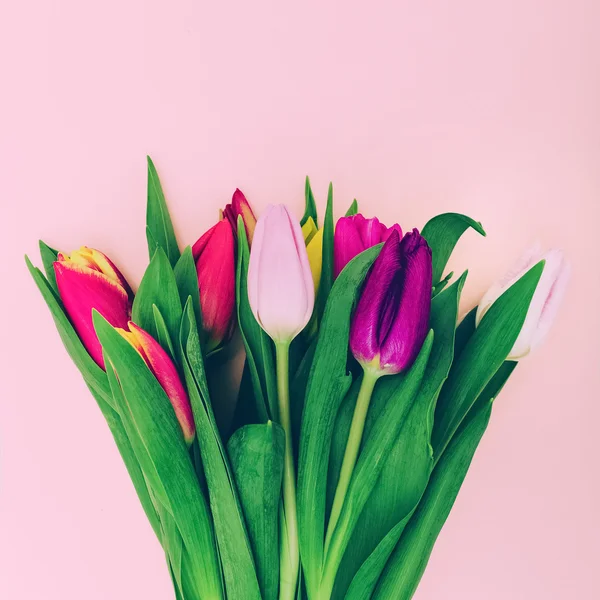 Tulipány a lásku. Minimální módní Styl — Stock fotografie