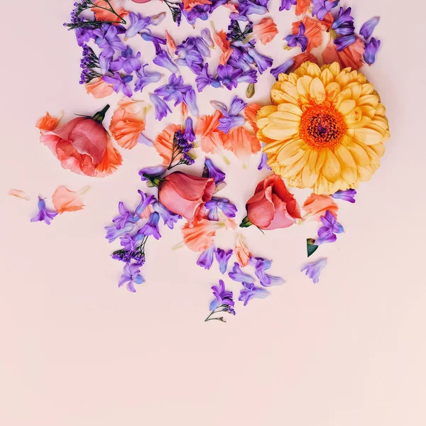 Romantiska blomma mix. minimalistisk design — Stockfoto