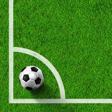Futbol topu çimlerin üzerinde