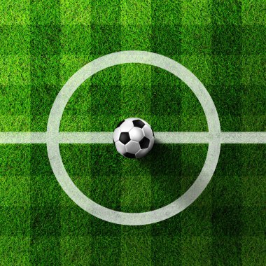 Futbol topu çimlerin üzerinde