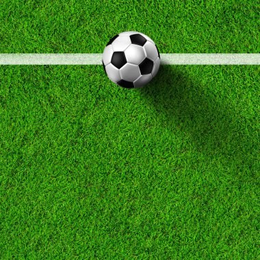 Futbol topu çimlerin üzerinde