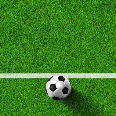 Futbol topu çimlerin üzerinde
