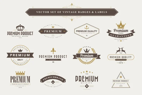 Set of vintage badges — Stock Vector