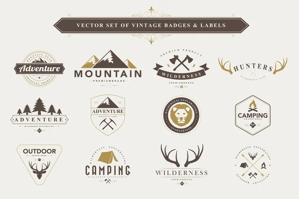 Set of vintage badges and labels. — Stock Vector