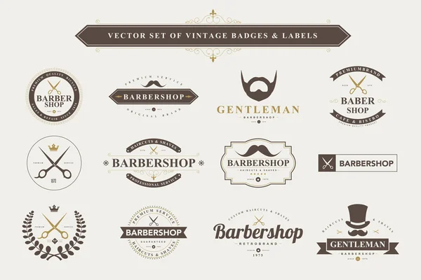 Set de insignias y etiquetas vintage . — Vector de stock