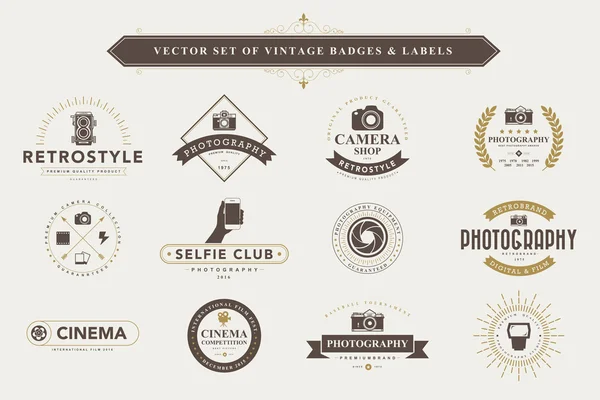 Set de insignias vintage — Vector de stock