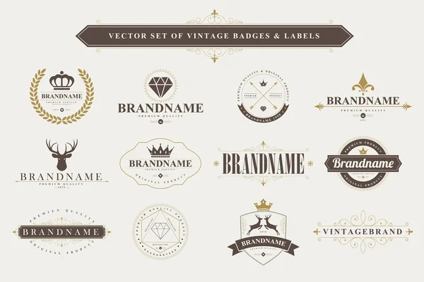 Set de insignias vintage — Vector de stock