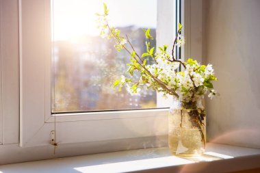 Güneş ışığı kavanozdaki taze çiçeklere düşer, pencere pervazına oturur. Sahne sıcak bir öğleden sonrayı yakalıyor..