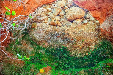 Gün boyunca açık mavi bir gökyüzünün altında parlak yeşil yapraklarla çevrili engebeli bir kaya oluşumu belirgin bir şekilde duruyor..