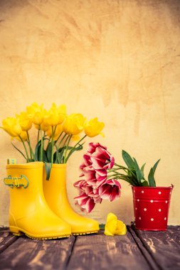 Kadınlar Günü kavramı