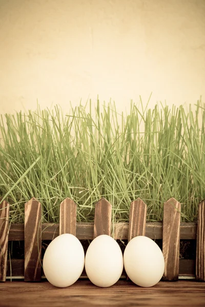 Ovos de Páscoa na grama verde — Fotografia de Stock